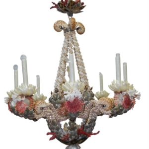 Fancy shells and corals in this 8-light basket pendant light.  Nautilus, Spondilius shells, and corals used